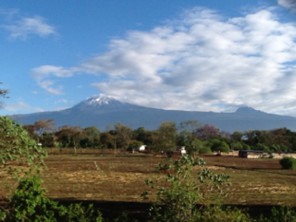 View of Mt Kilimanjaro from hotel